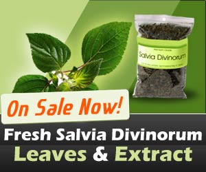 Order Salvia Now