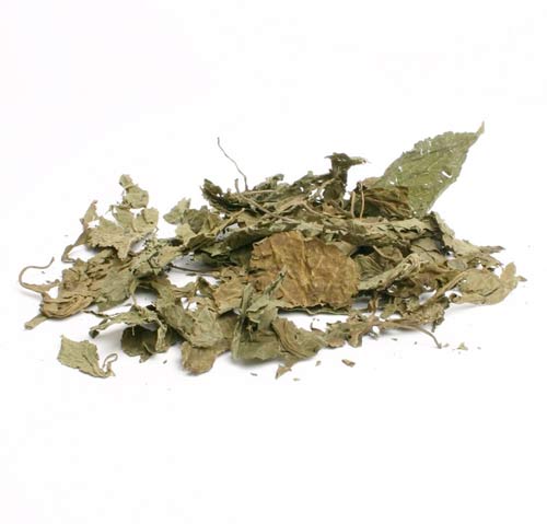Image Of Salvia Extract